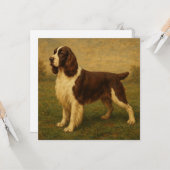 Englischer Springer Spaniel Karte (Vorderseite/Rückseite Beispiel)
