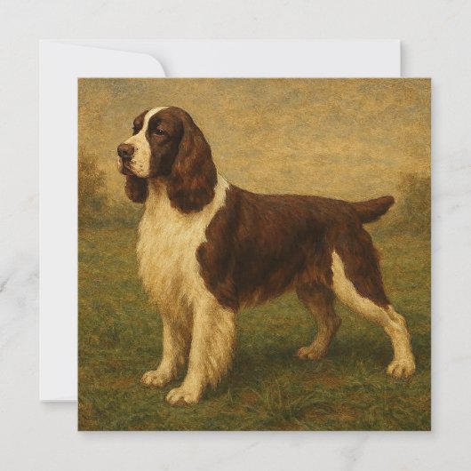 Englischer Springer Spaniel Karte (Vorderseite)