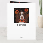 Englischer Springer Spaniel Karte (Rückseite)