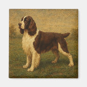 Englischer Springer Spaniel Magnet (Vorne)