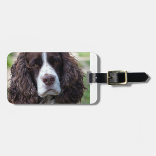 englischer Springer spaniel.png Gepäckanhänger