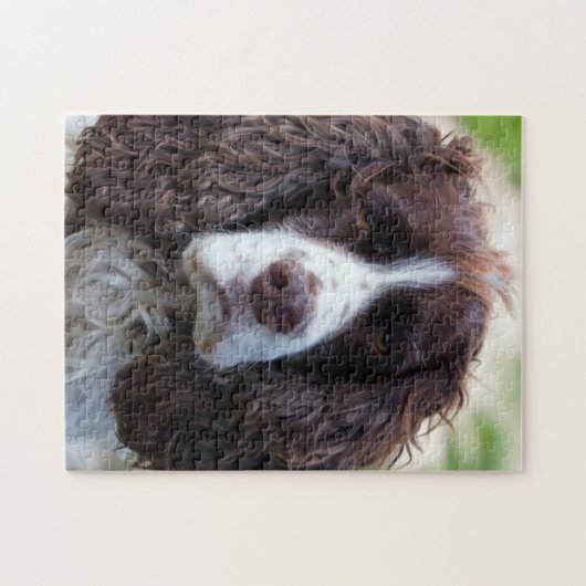 englischer Springer spaniel.png Puzzle (Horizontal)