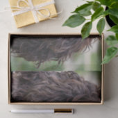 englischer Springer spaniel.png Seidenpapier (Geschenk)