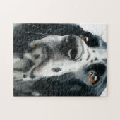 Englischer Springer Spaniel Portrait mit Ticking Puzzle (Horizontal)