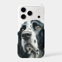 Englischer Springer Spaniel-Porträt mit Ticking