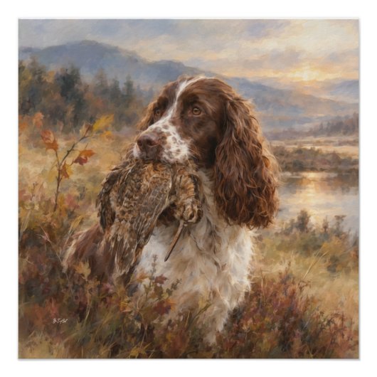 Englischer Springer Spaniel Poster (Vorderseite)