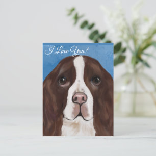 ENGLISCHER SPRINGER SPANIEL POSTKARTE