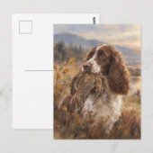 Englischer Springer Spaniel Postkarte (Vorne/Hinten)