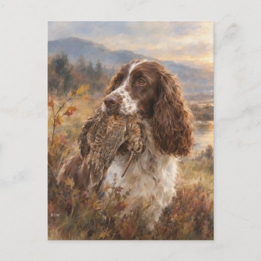 Englischer Springer Spaniel Postkarte (Vorderseite)