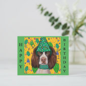Englischer Springer Spaniel Postkarte (Stehend Vorderseite)
