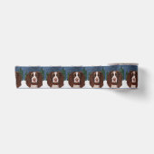 ENGLISCHER SPRINGER SPANIEL SATINBAND (Vorderseite)