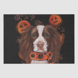 Englischer Springer Spaniel       Seidenpapier
