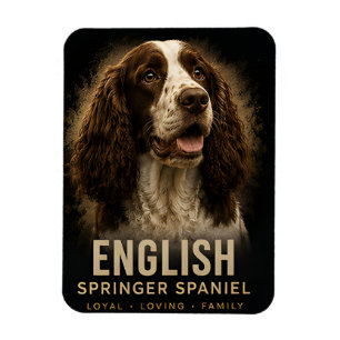 Englischer Springer Spaniel Treuer Liebenswerter F Magnet