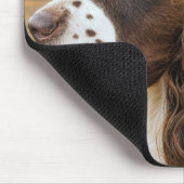 Englischer Springer Spaniel und Fasan Mousepad (Ecke)