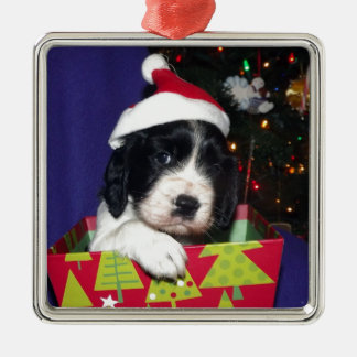 Englischer Springerschwarzweiss-spaniel Christma Silbernes Ornament