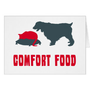 Englischer SpringerSpaniel