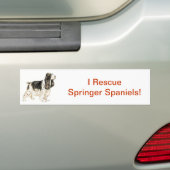 Englischer SpringerSpaniel Autoaufkleber (Auf Auto)