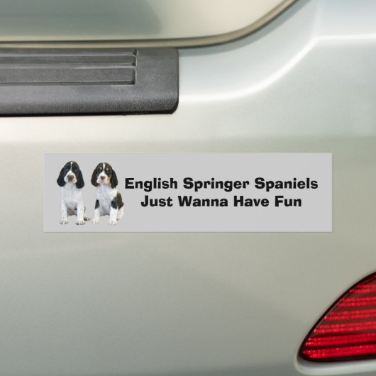 Englischer Springerspaniel-Autoaufkleber Autoaufkleber (Auf Auto)