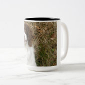 Englischer SpringerSpaniel - bester Freund Zweifarbige Tasse (VorderseiteRechts)