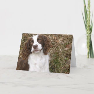 Englischer SpringerSpaniel - der beste Freund des Karte