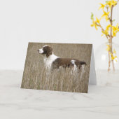 Englischer SpringerSpaniel - Gruß-Karte Karte (Gelbe Blume)