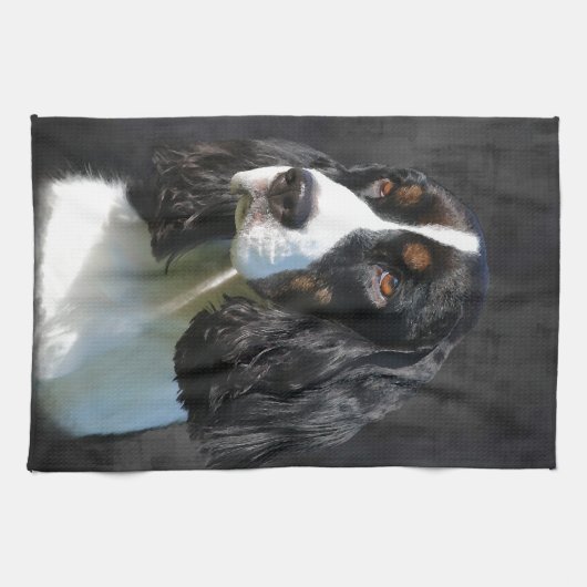 Englischer SpringerSpaniel Handtuch (Horizontal)