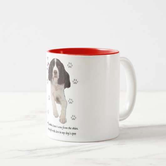 Englischer Springerspaniel-Hund Zweifarbige Tasse (VorderseiteRechts)