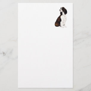 Englischer Springerspaniel-Hundekunst-Briefpapier Briefpapier