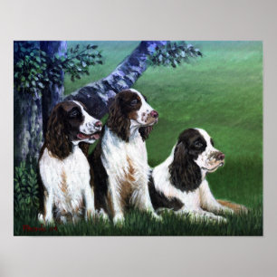 Englischer Springerspaniel-Hundeplakat-Druck Poster