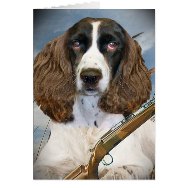 Englischer Springerspaniel-Jagden (Vorne)