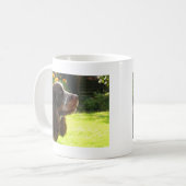 Englischer SpringerSpaniel Kaffeetasse (Vorderseite Links)