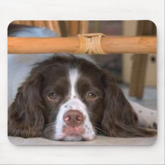 Englischer SpringerSpaniel Mousepad