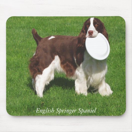 Englischer SpringerSpaniel Mousepad (Vorne)