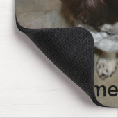 Englischer SpringerSpaniel, Otis will eine Mousepad (Ecke)