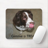 Englischer SpringerSpaniel, Otis will eine Mousepad (Mit Mouse)