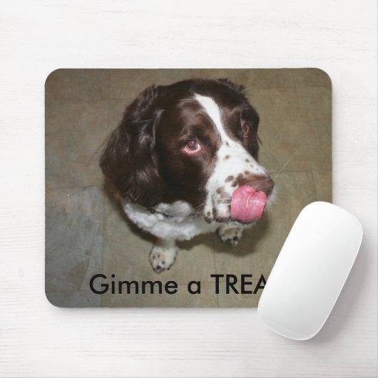 Englischer SpringerSpaniel, Otis will eine Mousepad (Mit Mouse)