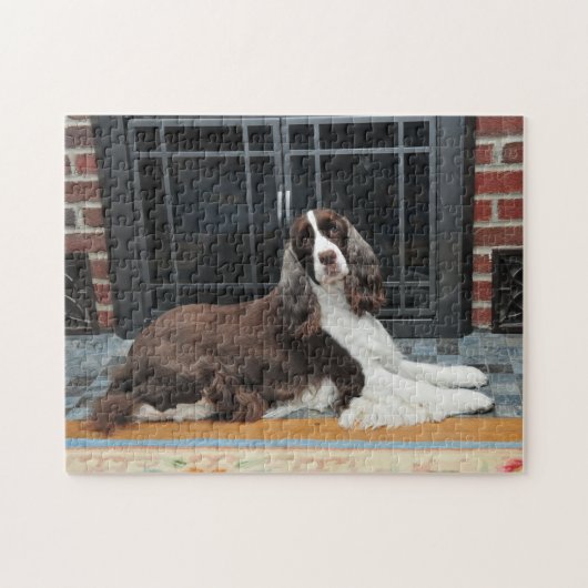 Englischer Springerspaniel-Puzzlespiel Puzzle (Horizontal)