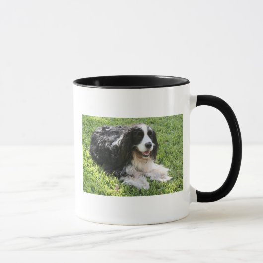 Englischer SpringerSpaniel Tasse (Rechts)