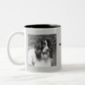 Englischer Springerspaniel-Tasse Zweifarbige Tasse (Links)