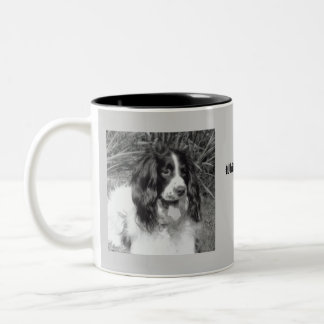 Englischer Springerspaniel-Tasse Zweifarbige Tasse