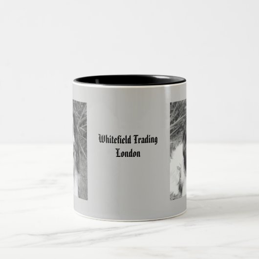 Englischer Springerspaniel-Tasse Zweifarbige Tasse (Mittel)