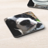 Englischer SpringerSpaniel Untersetzer (Linke Seite)