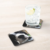 Englischer SpringerSpaniel Untersetzer (Rechte Seite)