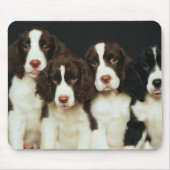 Englischer Springerspaniel-Welpen (2) Mousepad (Vorne)