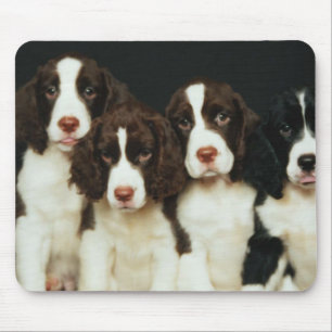 Englischer Springerspaniel-Welpen (2) Mousepad