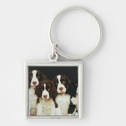 Englischer Springerspaniel-Welpen (2) Schlüsselanhänger (Vorne)