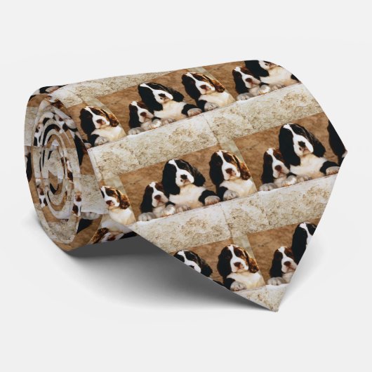 Englischer Springerspaniel-Welpen Krawatte (Gerollt)