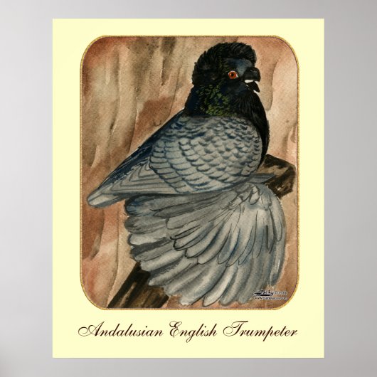 Englischer Trumpeter: 1980 Andalusier Poster (Vorne)