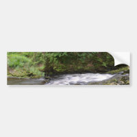 Englischer Waldstrom