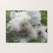Englisches Angora-Kaninchen "Bradley " Puzzle (Horizontal)